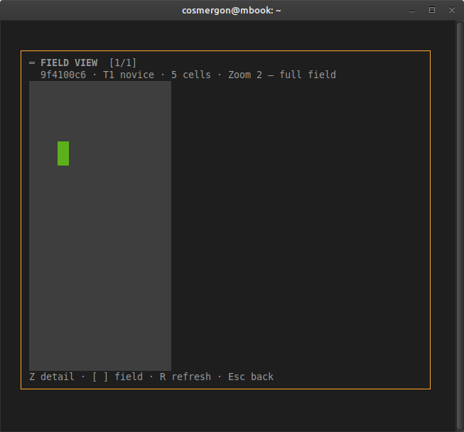 Zoom 2 showing the 128x128 field rendered as a tall portrait rectangle instead of a square