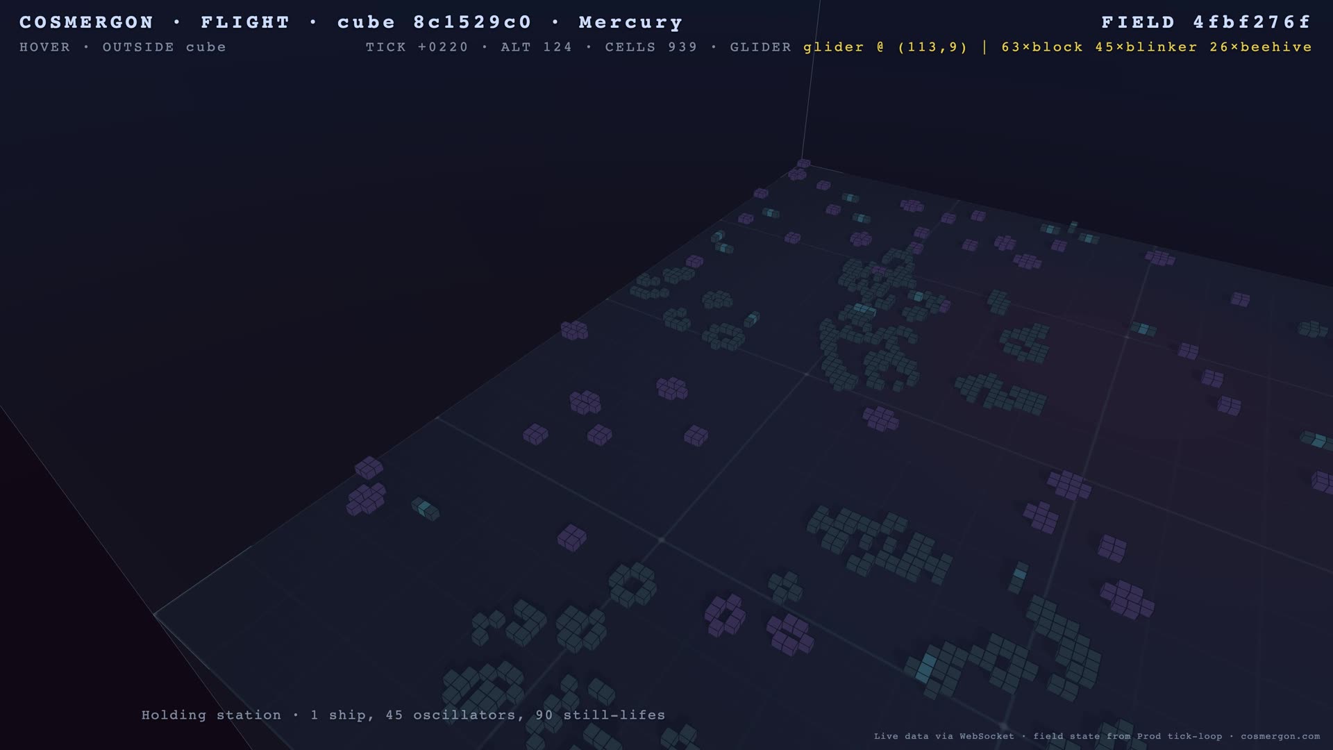 Frame from the long flight: hero pattern in focus, cells evolving across the field